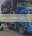 如何查询和管理自己名下的保单信息？