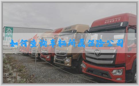 如何查询车辆所属保险公司及评价因素？