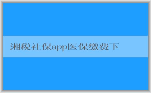 湘税社保app医保缴费下载的功能、使用方法和优势概述