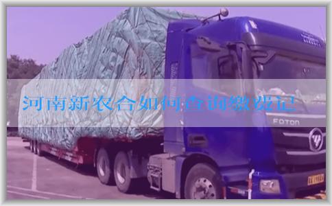 河南新农合如何查询缴费记录及处理缴费问题？