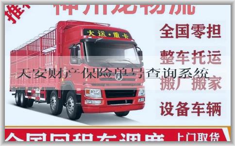 天安财产保险单号查询系统官详解