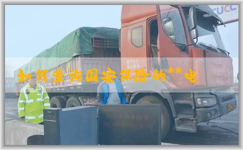如何查询国安保险的**电话号码及其必要性