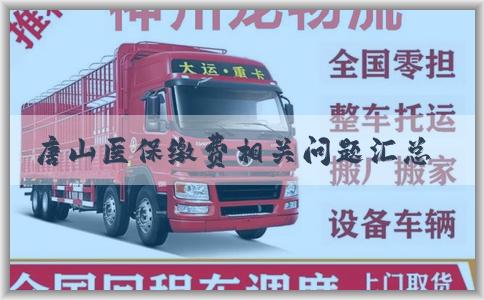 唐山医保缴费相关问题汇总