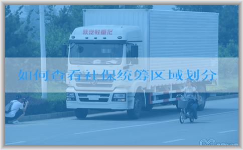如何查看社保统筹区域划分及其意义和影响