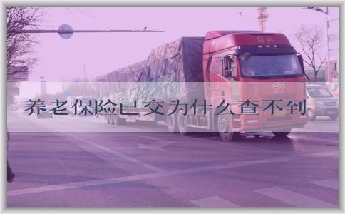 养老保险已交为什么查不到余额的原因及解决方法