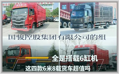 国骏控股集团有限公司的组织架构、业务范围及性质