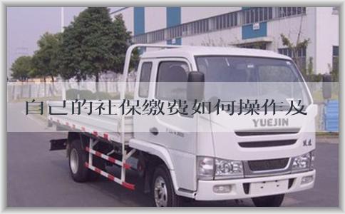 自己的社保缴费如何操作及注意事项