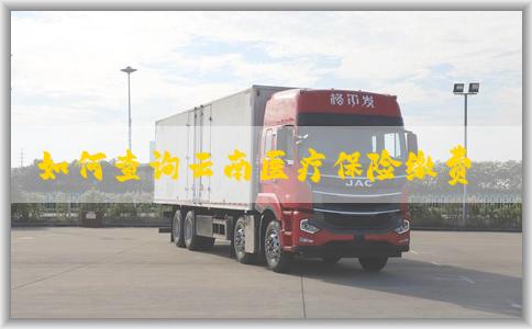 如何查询云南医疗保险缴费记录？注意事项与查询方式