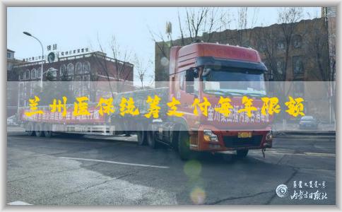 兰州医保统筹支付每年限额多，**应对何如？