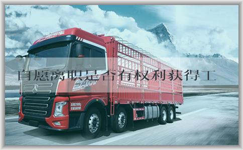 自愿离职是否有权利获得工资和社保，相关法律规定和处理方法。
