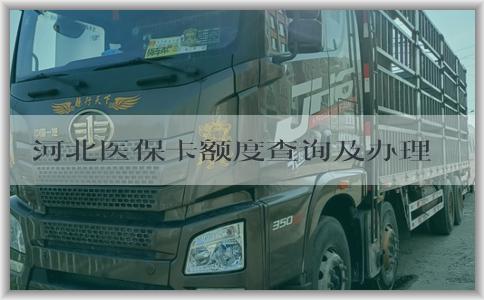 河北医保卡额度查询及办理注意事项