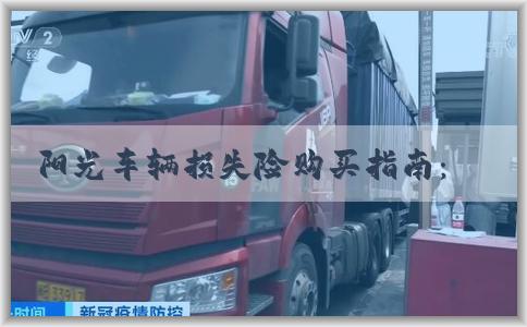 阳光车辆损失险购买指南：险种含义、区别以及购买方式